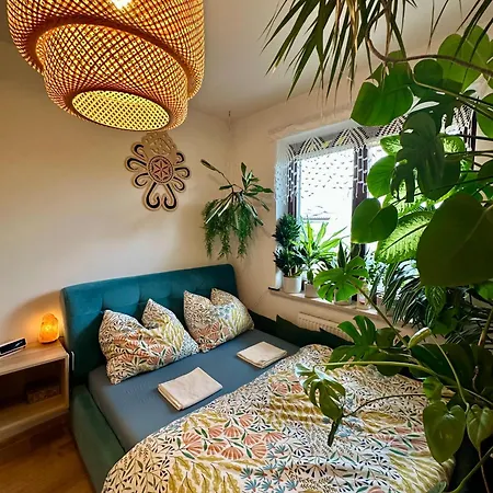 Kaczary Deluxe 56m2 *