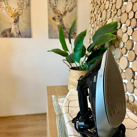 Kaczary Deluxe 56m2 דירה קרקוב