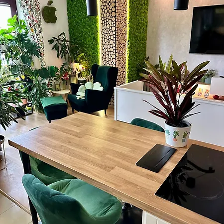 Apartment Kaczary Deluxe 56m2 Krakau