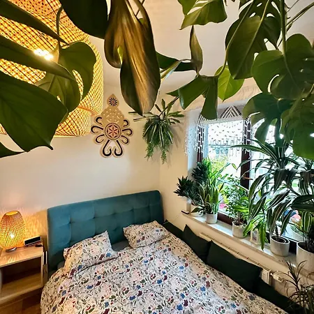 公寓 Kaczary Deluxe 56m2 克拉科夫