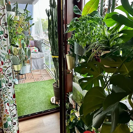 Kaczary Deluxe 56m2 公寓